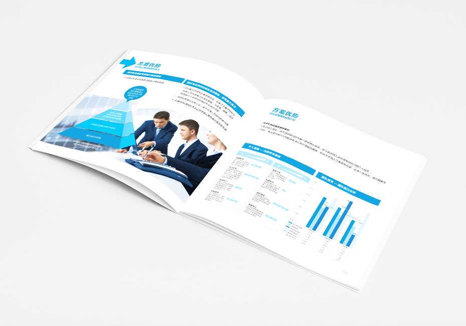 咨詢(xún)管理 · 智馭未來(lái) —— 上海IDB企業(yè)管理咨詢(xún)宣傳冊(cè)設(shè)計(jì)之思